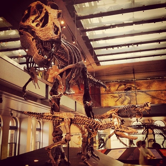 Top 10 Most Popular Los Angeles Museums on Instagram Discover Los Angeles