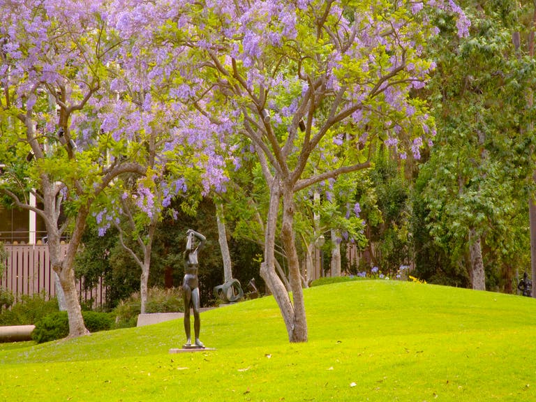 Franklin D. Murphy Sculpture Garden at UCLA