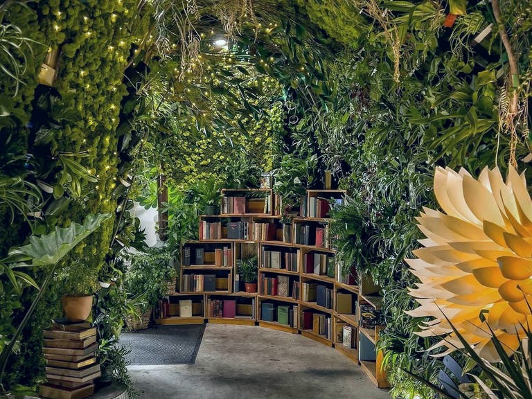Plant tunnel at Lost Books in Montrose