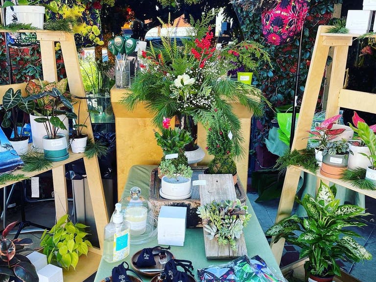 The Plant Provocateur pop-up at Gilly Flowers
