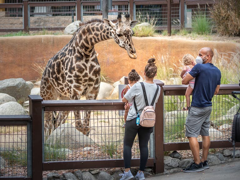 Family and giraffe at the L.A. Zoo