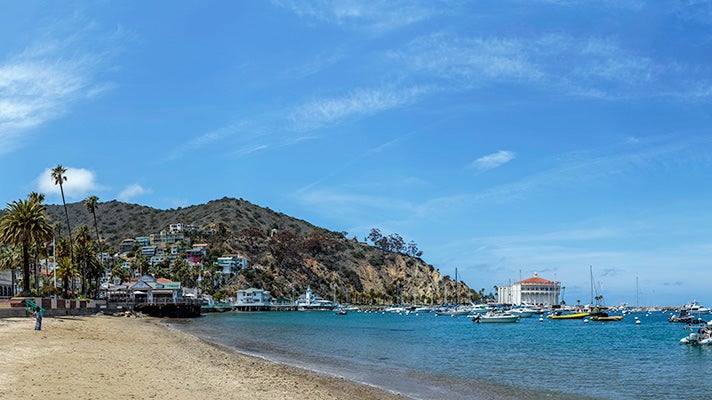 5月21日：サンタカタリナ島 Discover Los Angeles