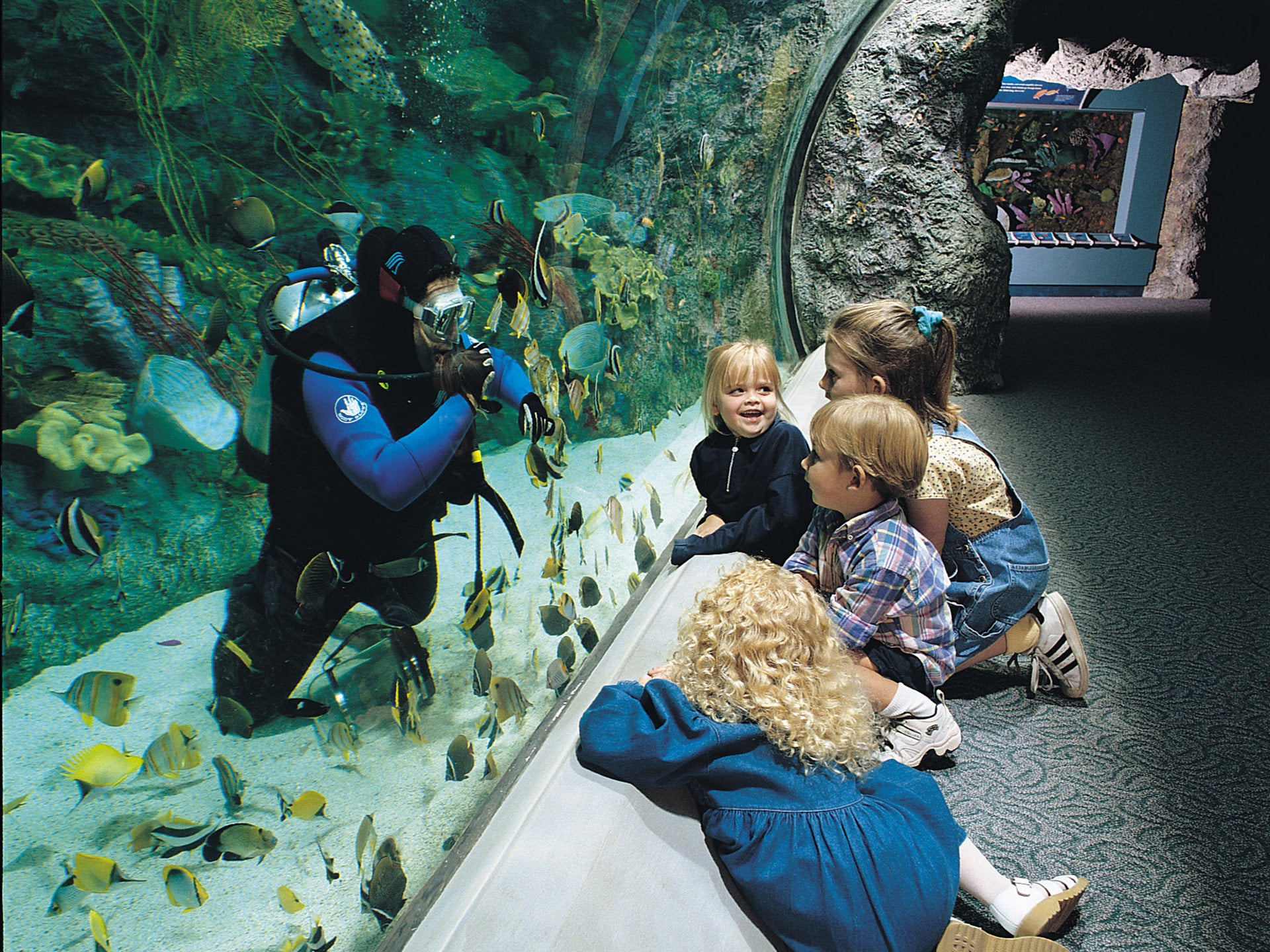 Aquarium of the Pacific