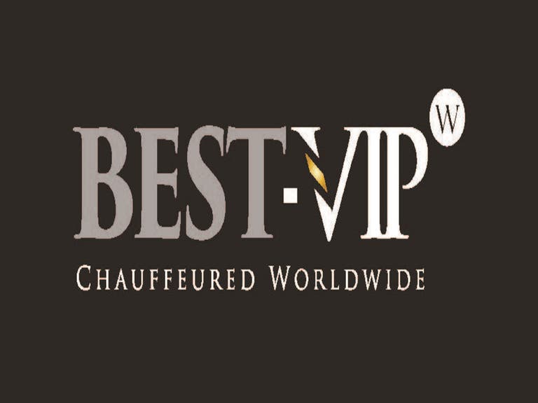 BEST-VIP Logo