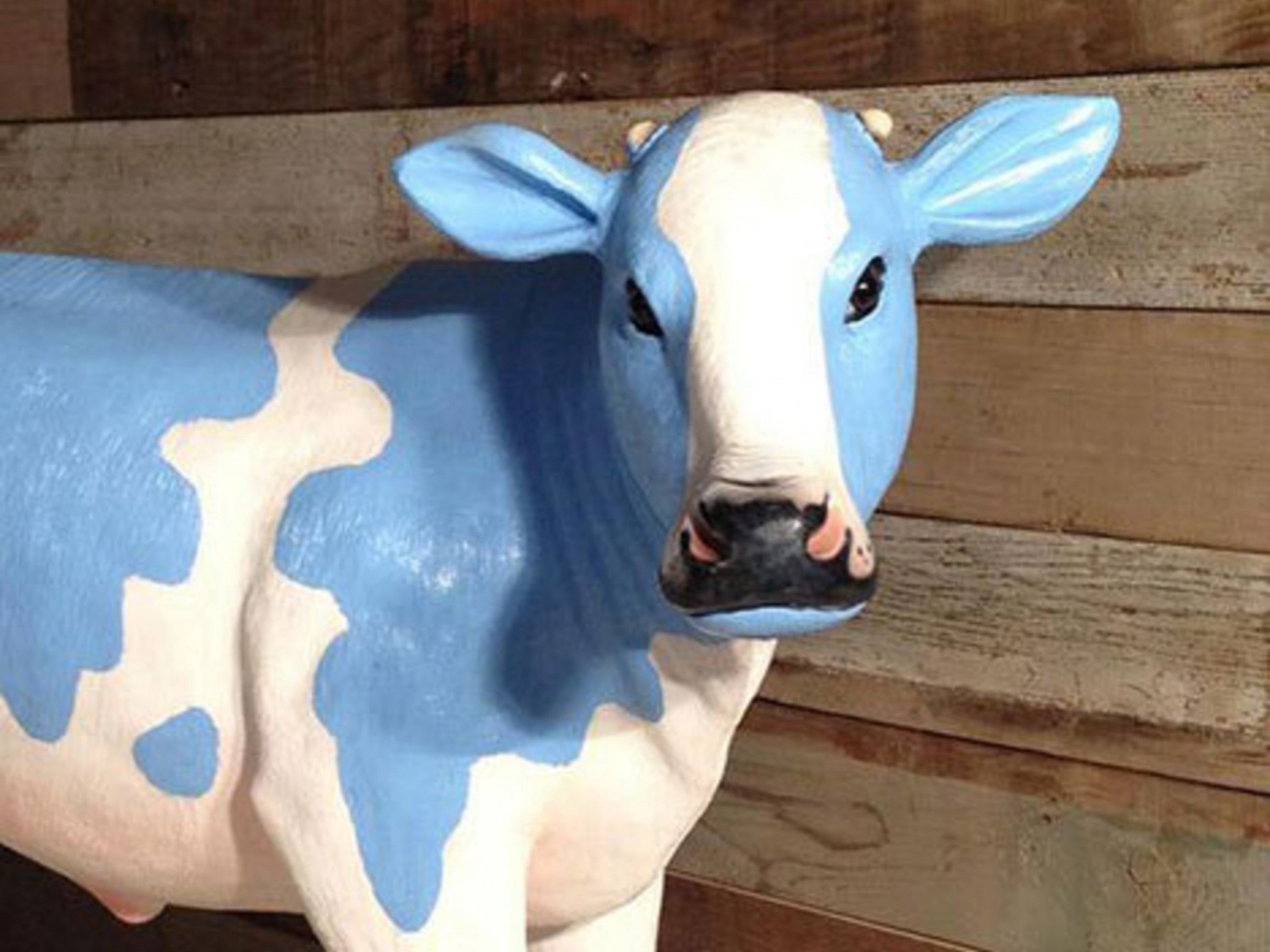 Blue Cow Kitchen Bar Discover Los Angeles