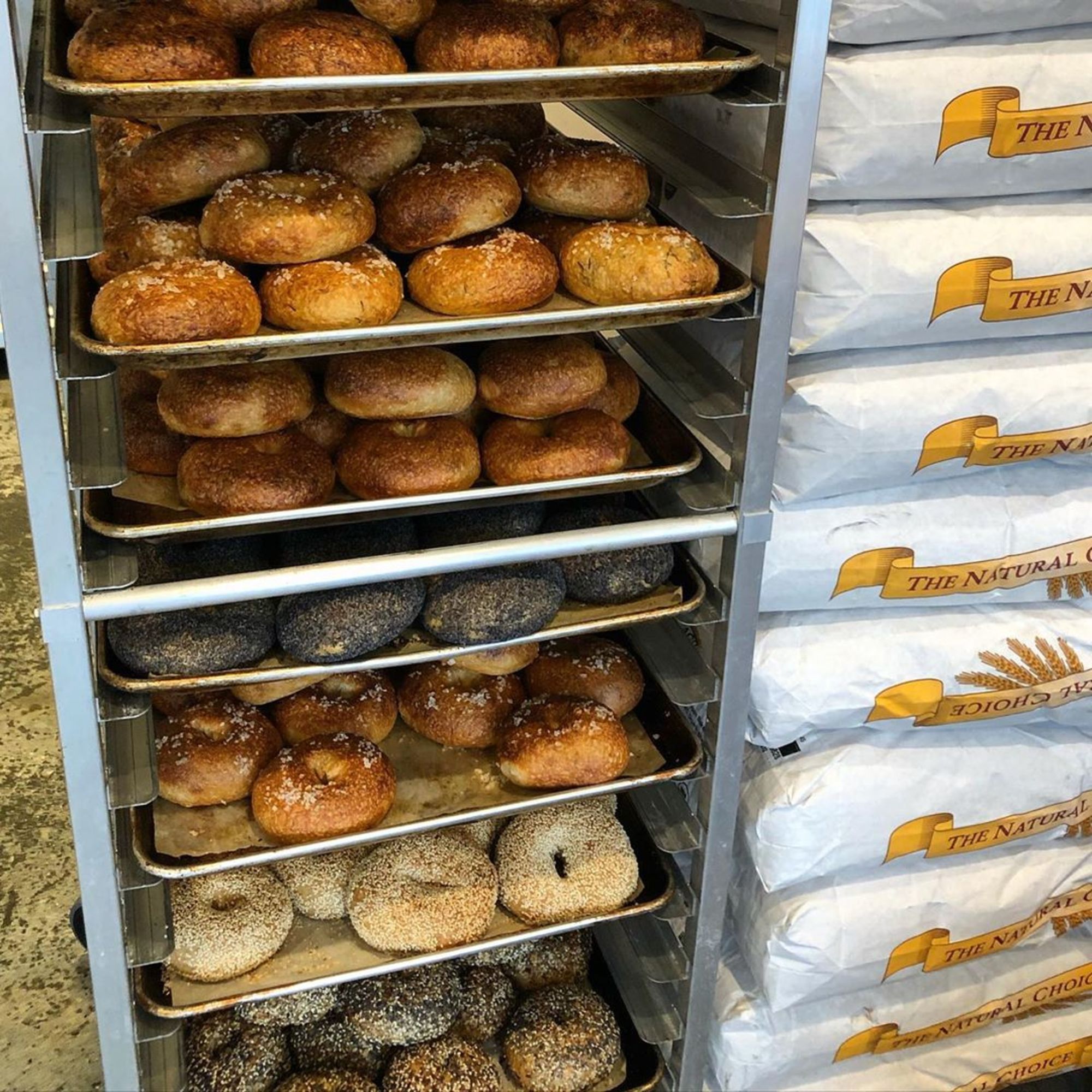 Hank's Bagels Discover Los Angeles