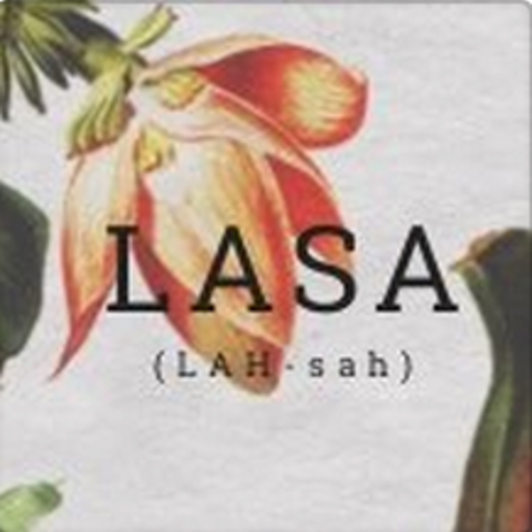 Image  for LASA