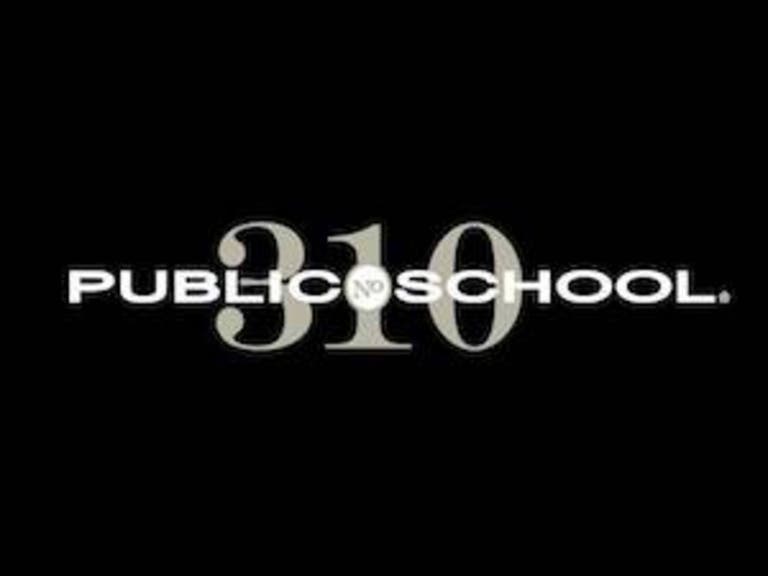 Public School 310