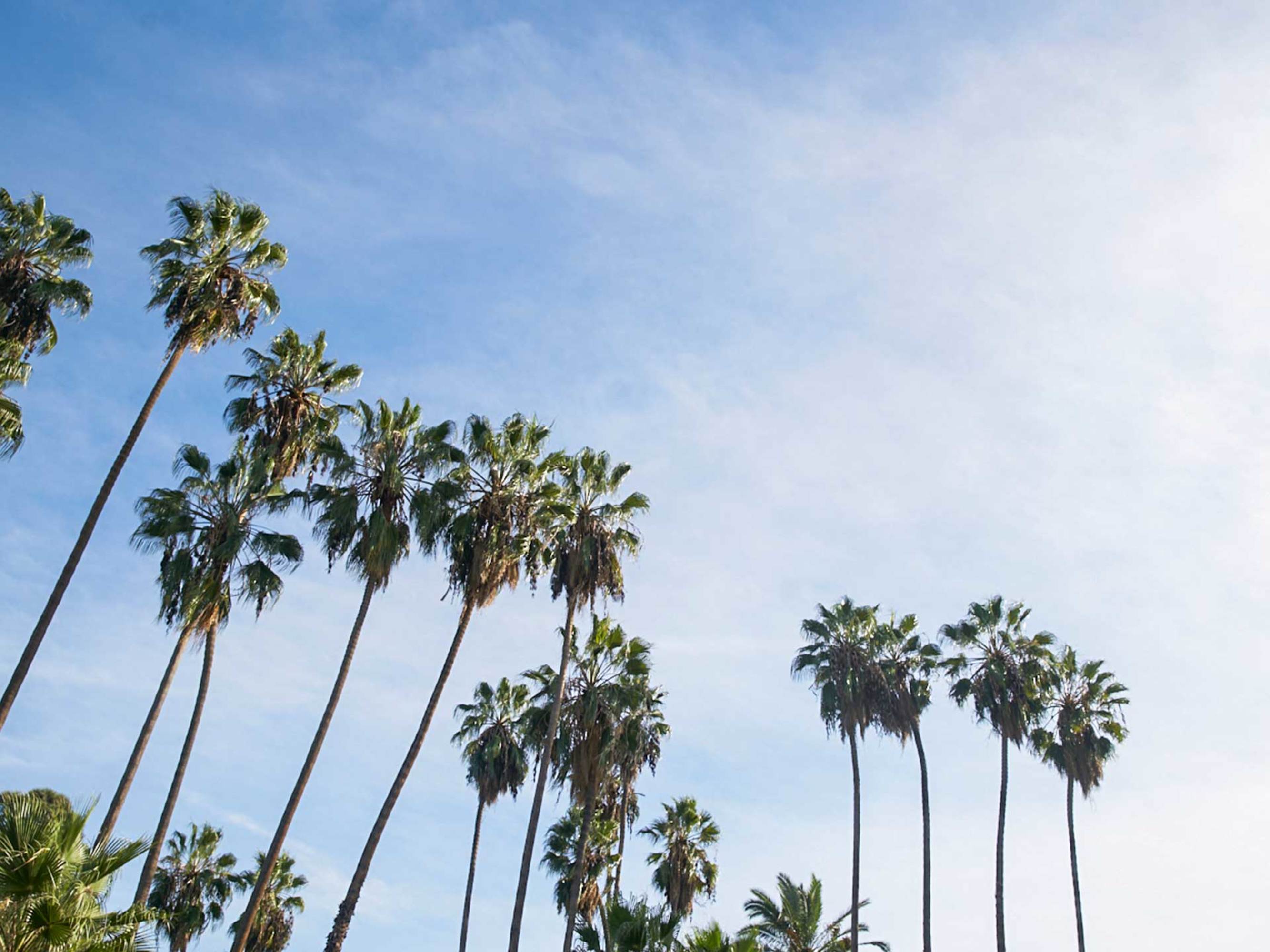 Rancho Park 3Par Golf Course Discover Los Angeles