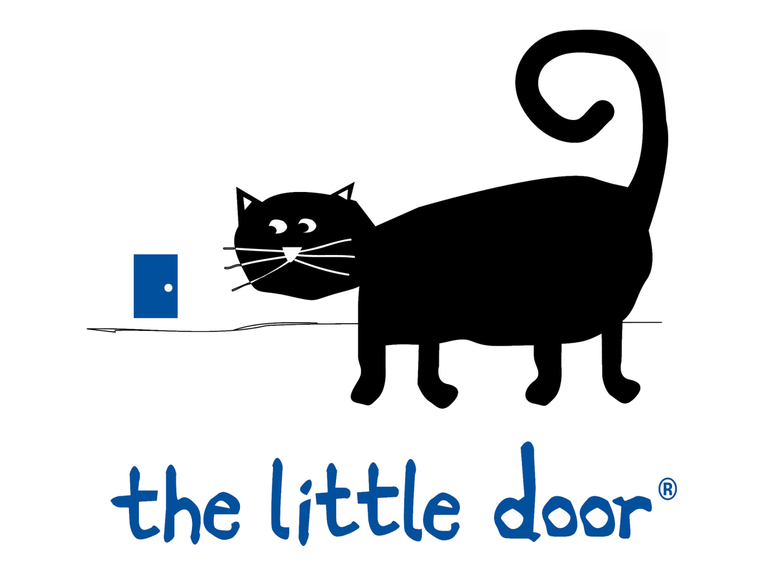 Primary image for The Little Door
