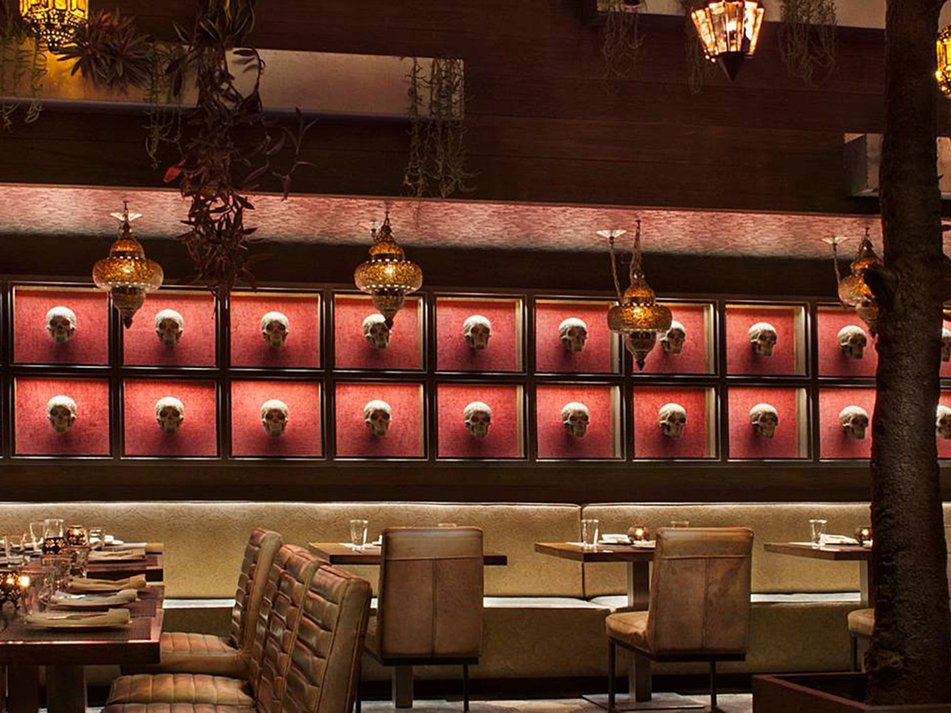 Image  for Toca Madera