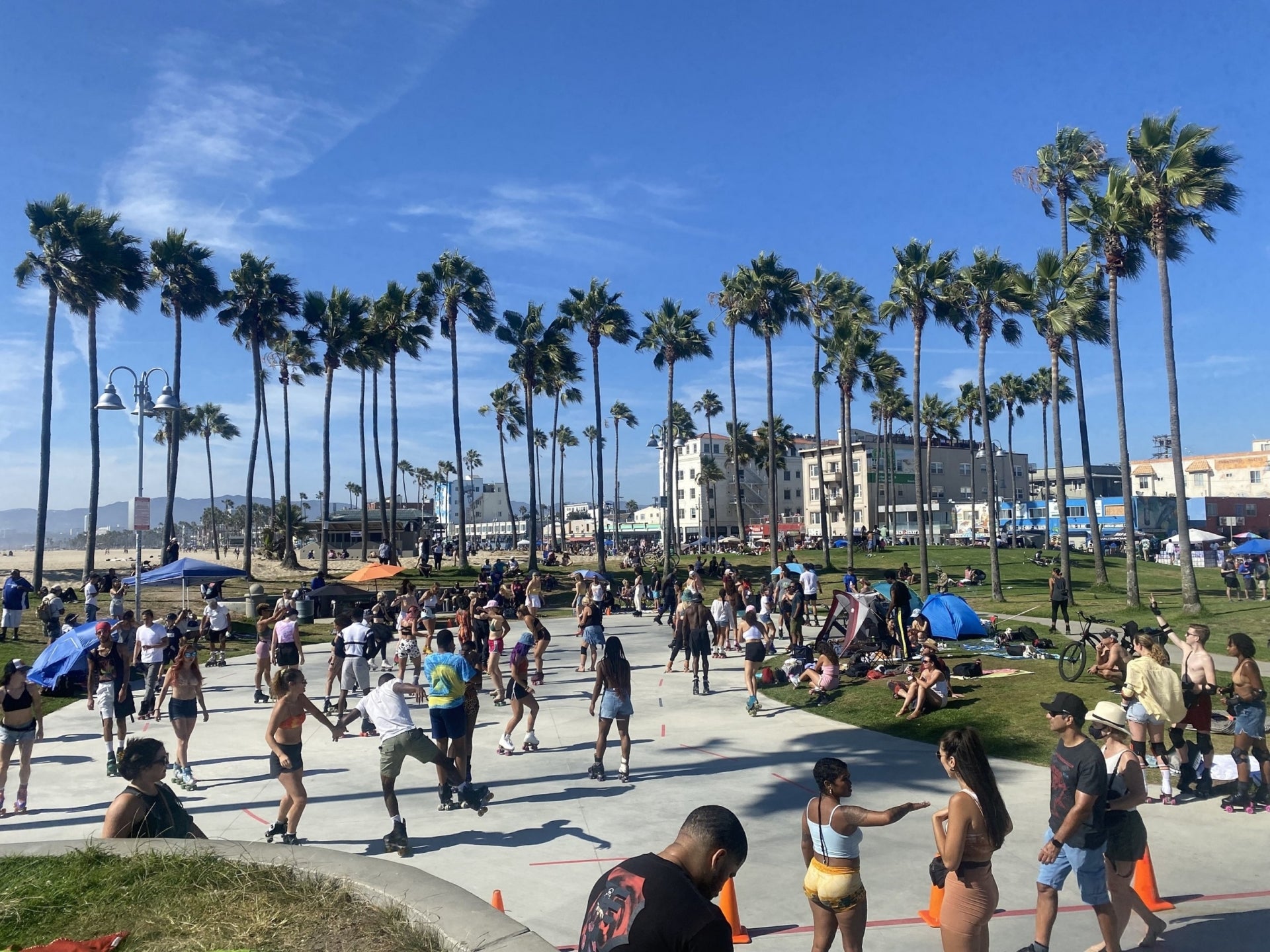 Escort Venice Beach