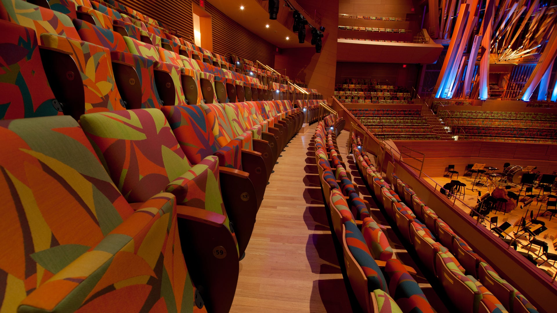 Walt Disney Concert Hall Seats