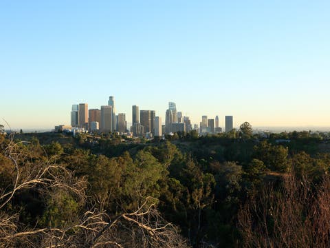 Downtown L.A. view from Elysian Park