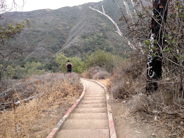 Murphy Ranch Stairs