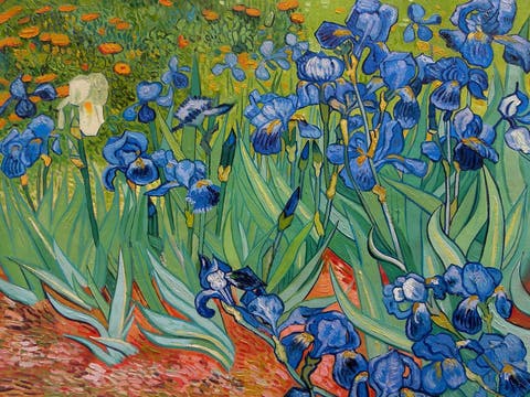 Irises Van Gogh Getty
