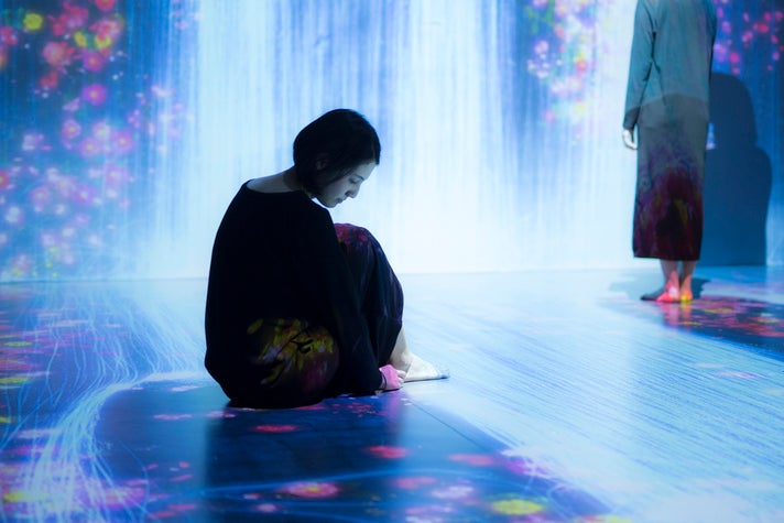Installation view of "teamLab: Transcending Boundaries," 2017, at Pace Gallery, London, 6 Burlington Gardens ©teamLab, courtesy Pace Gallery