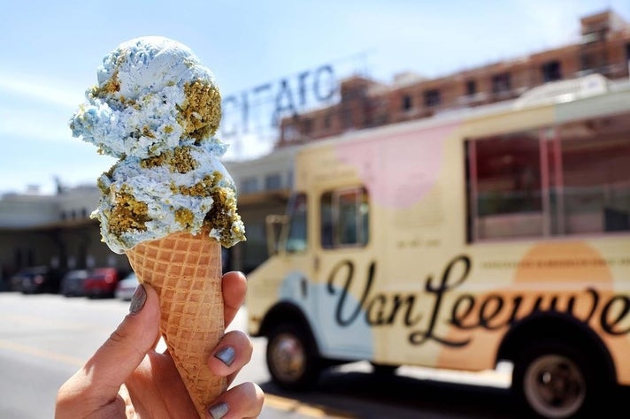 Vegan Planet Earth ice cream at Van Leeuwen ice cream truck