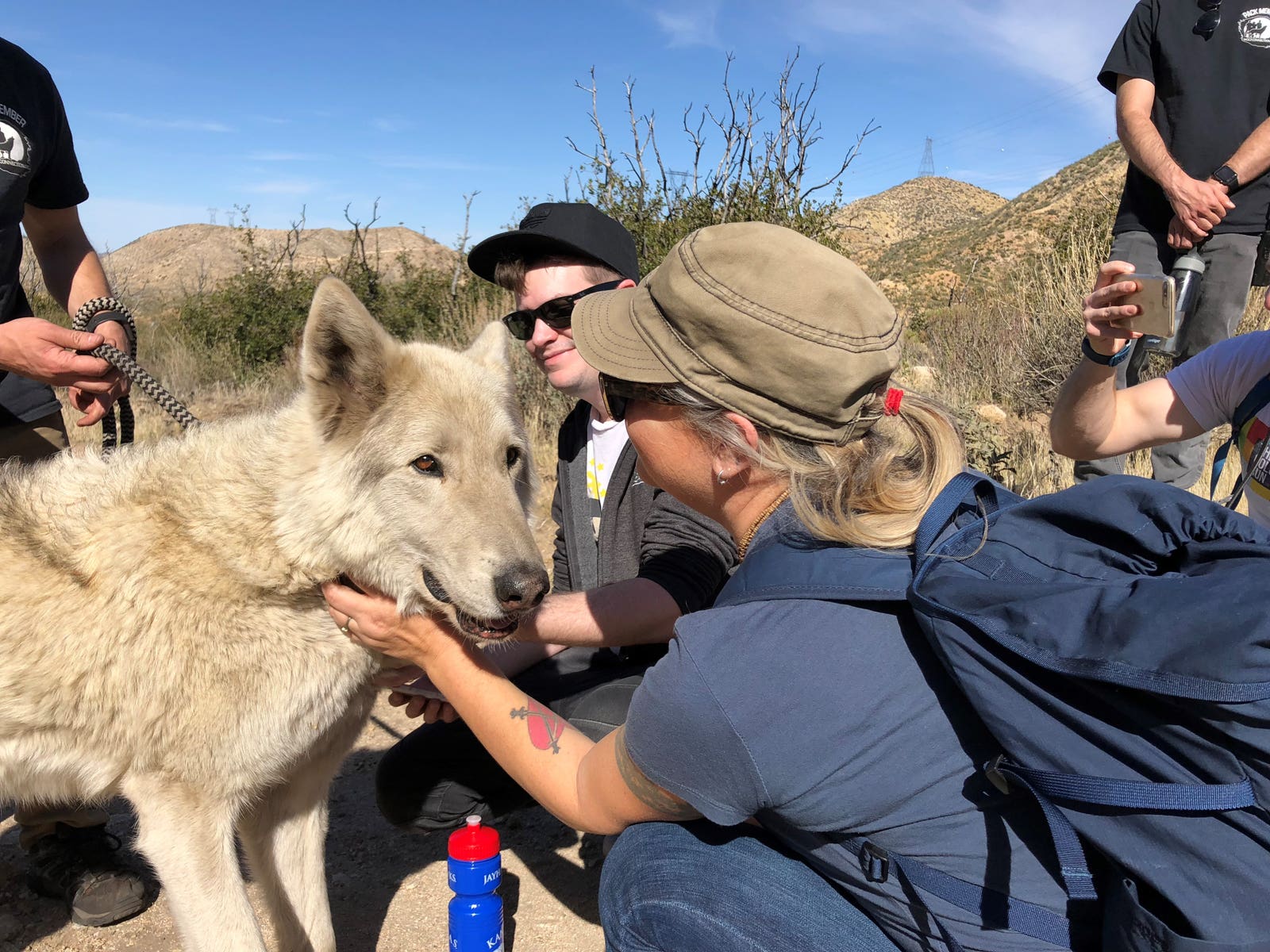 Hiking with Wolves at Wolf Connection