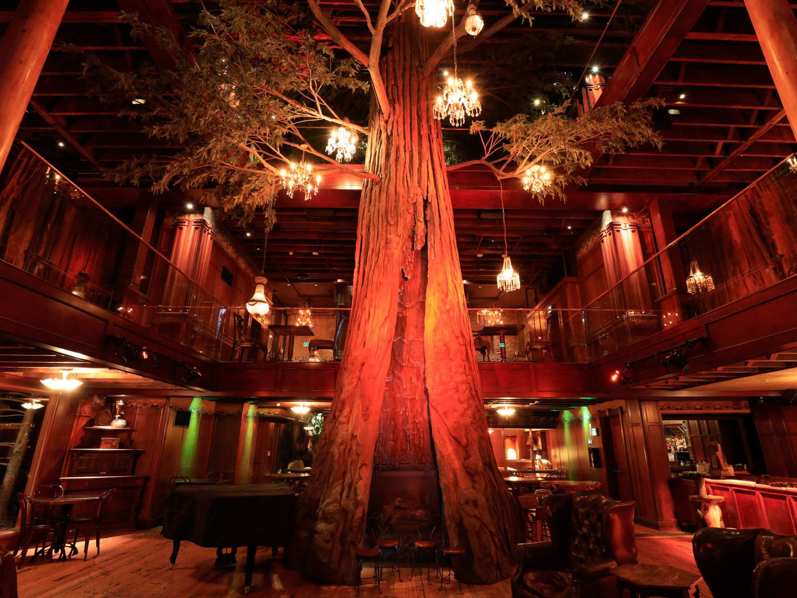Clifton's Republic Redwood Tree
