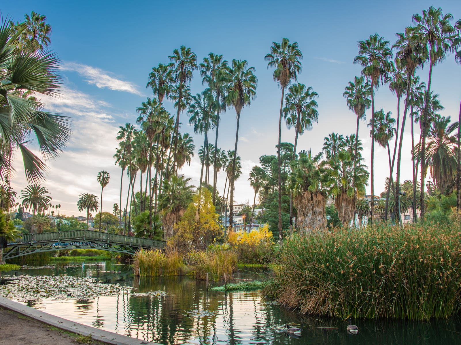 period tape Ordinary Hidden Gems in Echo Park | Discover Los Angeles