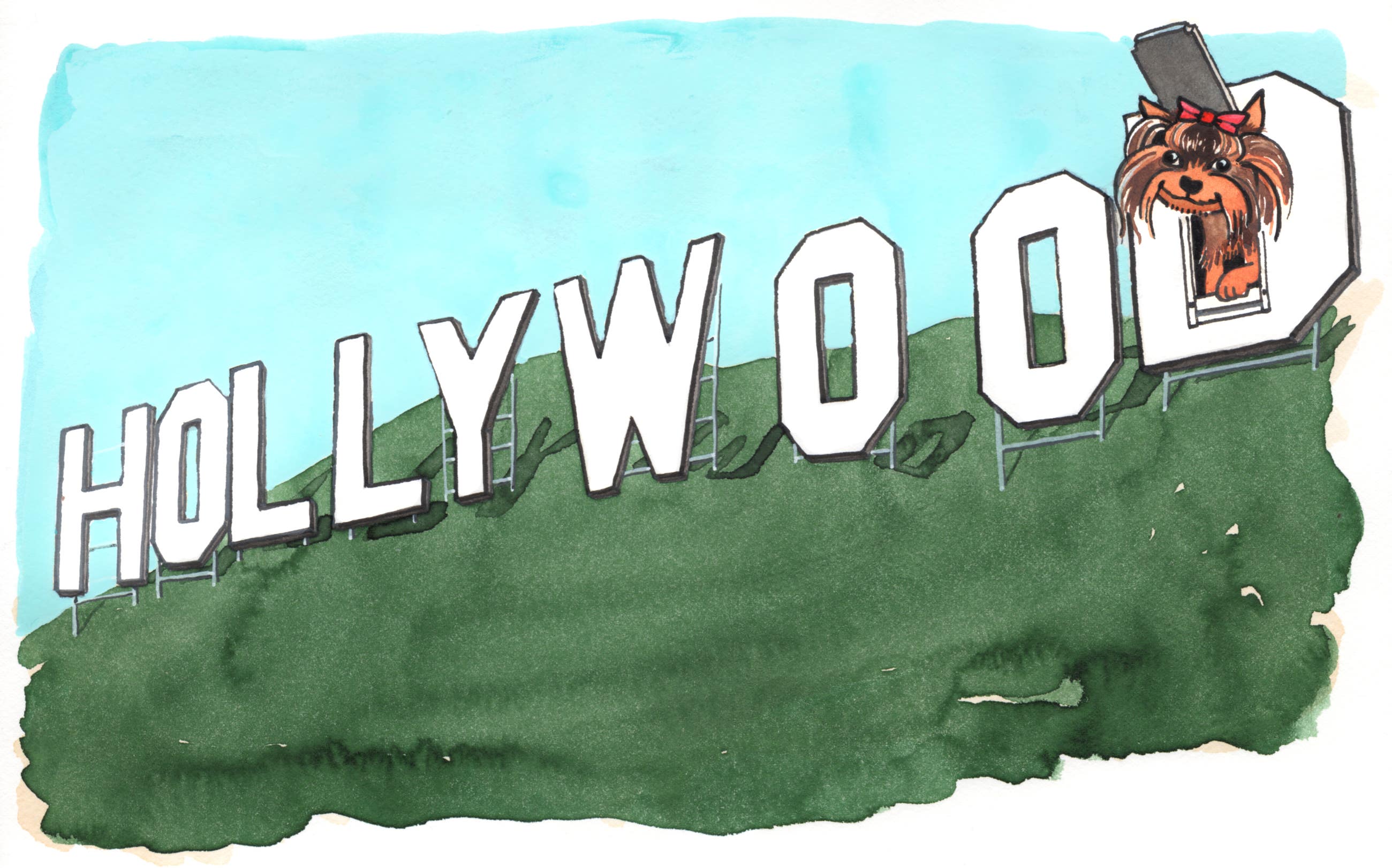 Yorkshire Terrier at the Hollywood Sign | Illustration by Max Kornell