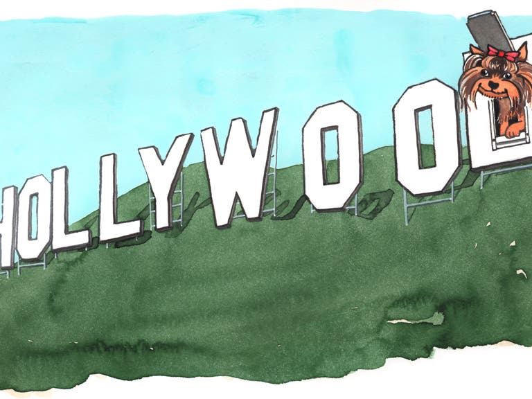 Yorkshire Terrier at the Hollywood Sign | Illustration by Max Kornell