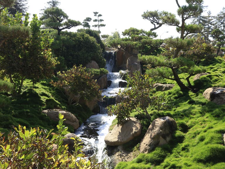 Japanese Garden Valley Waterfall