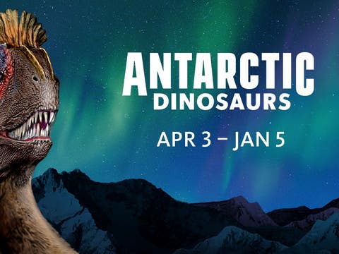 Antarctic Dinosaurs at the Natural History Museum