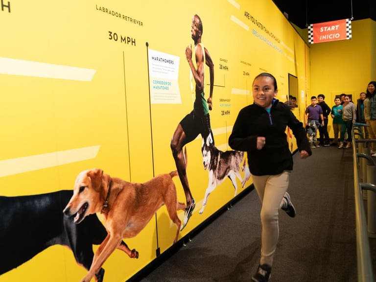 Dogs! A Science Tail at California Science Center | Photo: Wallis Annenberg PetSpace, Facebook