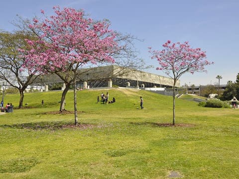 Hancock Park La Brea in the spring