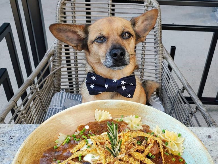Pooch and pasta on the patio at Granville Pasadena