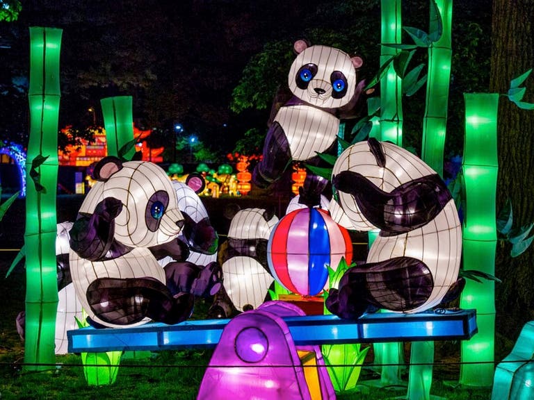 Moonlight Forest Pandas at the Los Angeles County Arboretum and Botanic Garden