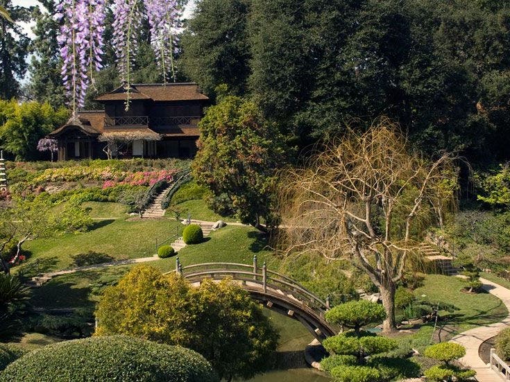 Japanese Garden at The Huntington Library