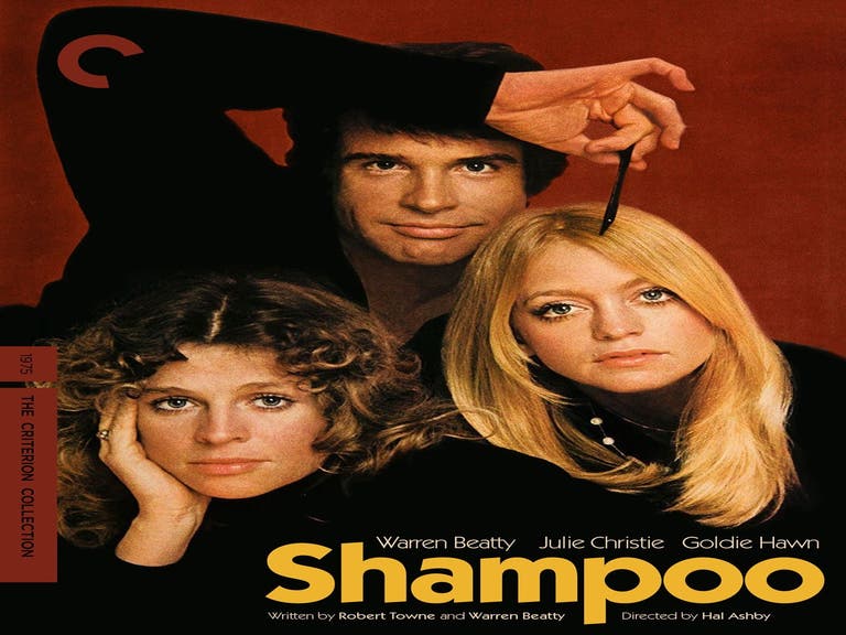 Cover of "Shampoo" (1975) from the Criterion Collection