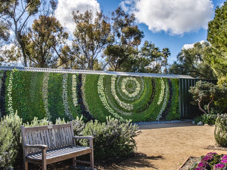 Living Wall at South Coast Botanic Garden