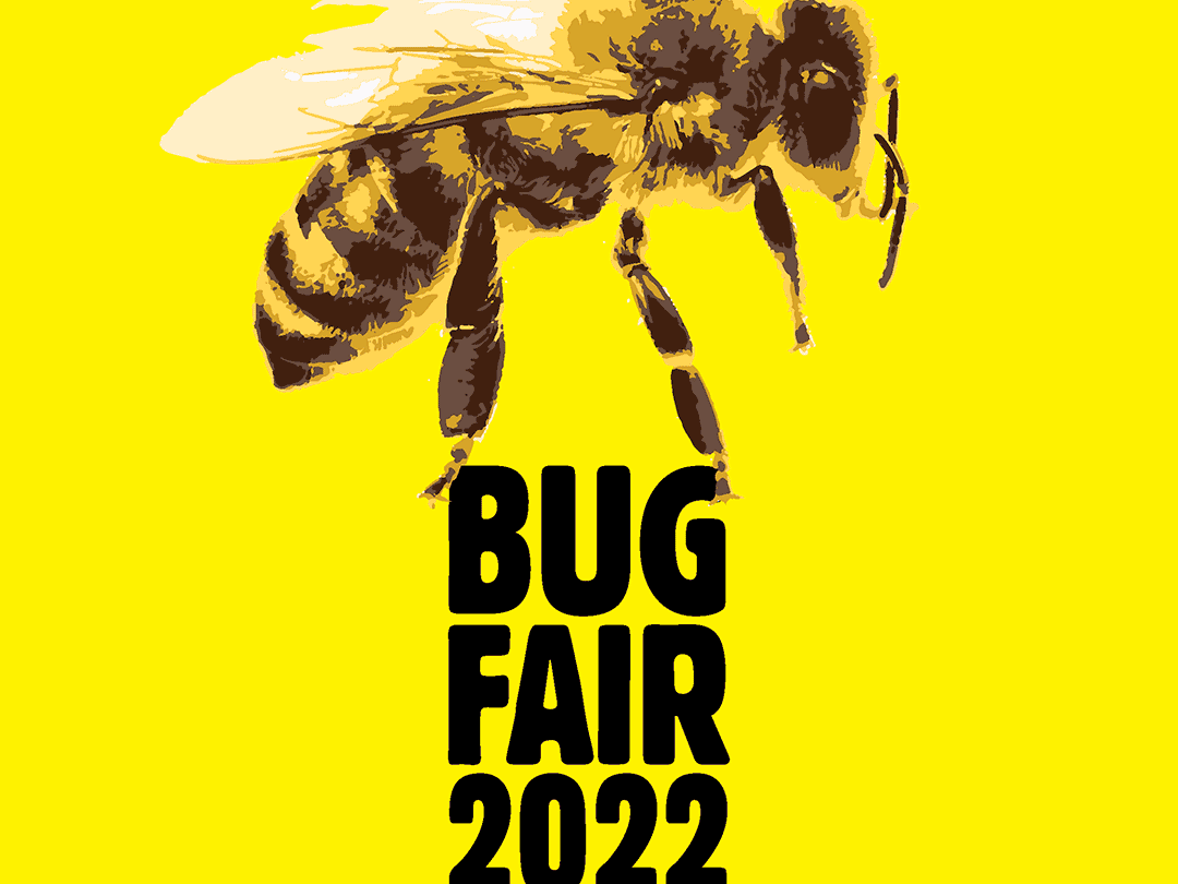 Bug Fair 2022