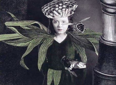 Main image for event titled Inner Space: miniature epics