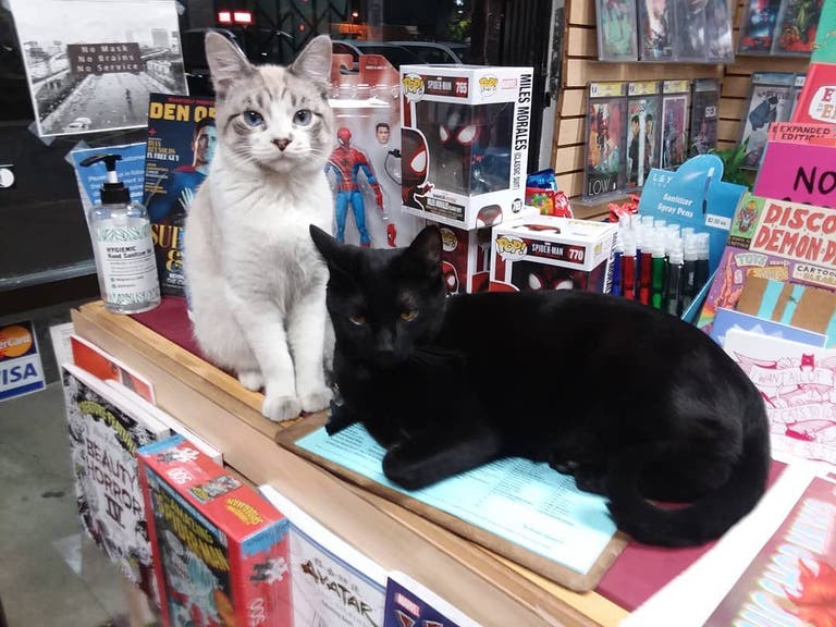  Pugsley and Shuri at Galaxy of Comics in Van Nuys