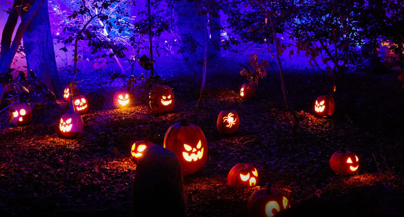 The Best Halloween Events and Activities in Los Angeles