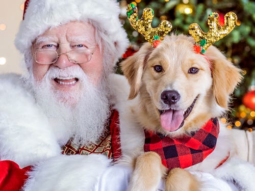 Pet Photos With Santa at Brea Mall