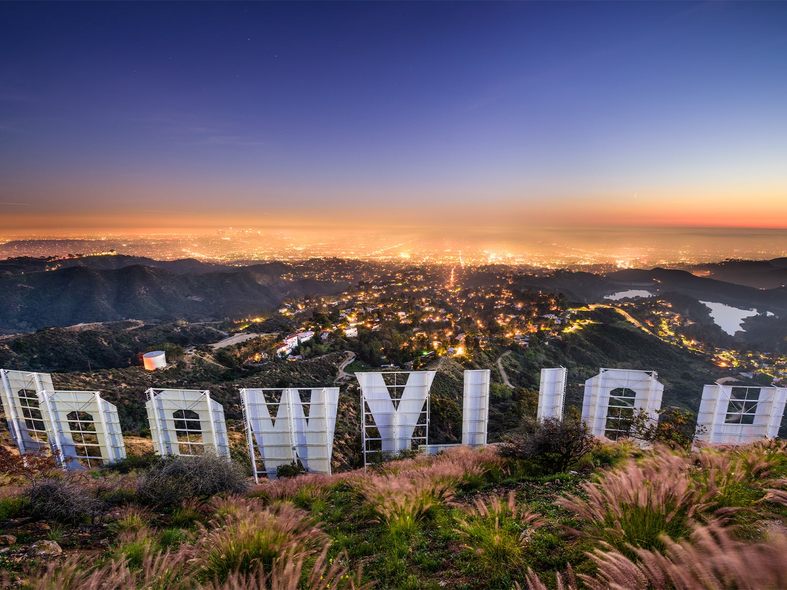 Discover the Best Views of the Hollywood Sign