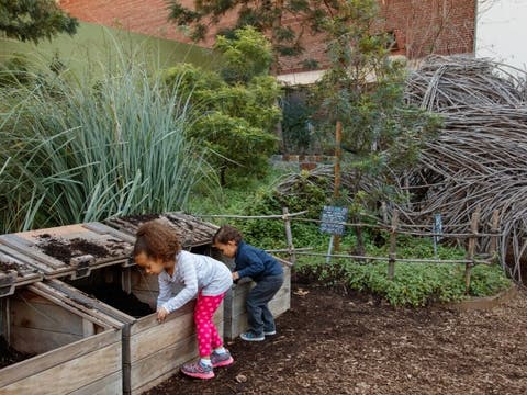 Get Dirty Zone in the Nature Gardens at the Natural History Museum