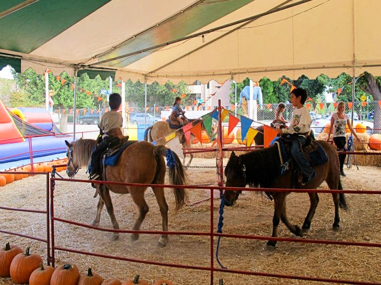 Pony ride at Tina's Pumpkin Patch in Sherman Oaks