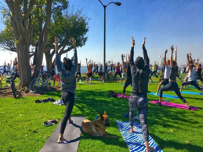 Yogalution Yoga on the Bluff in Long Beach