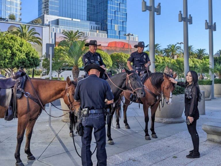 LAPD Mounted Police