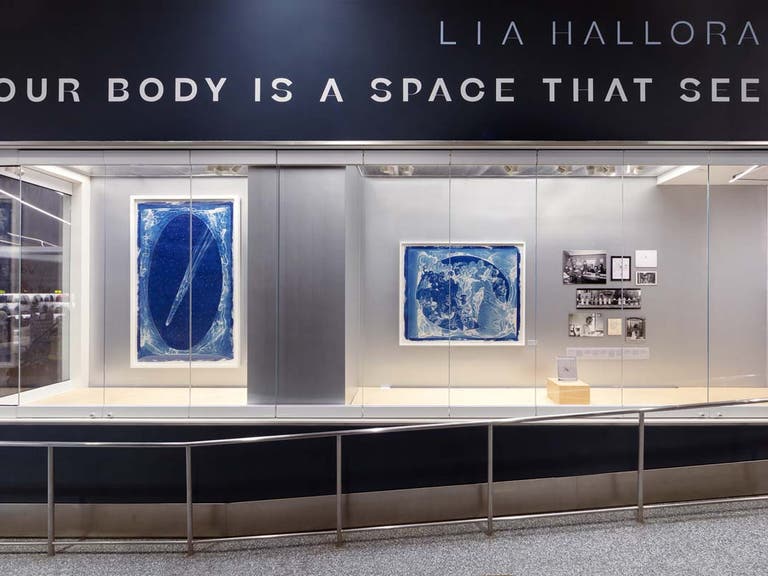 Lia Halloran, "Your Body is a Space That Sees" installation on view in Terminal 1 at LAX