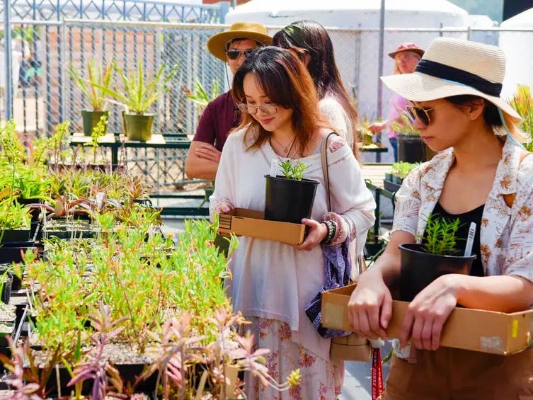 Spring Plant Sale at The Huntington Library