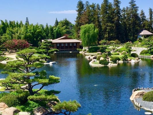 Jardin Japonais : Suiho En 