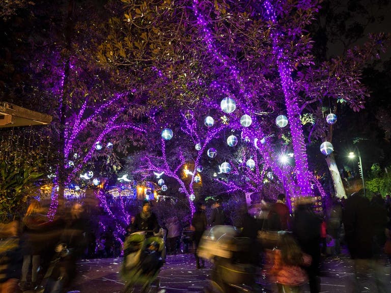 Disco Ball Forest at LA Zoo Lights